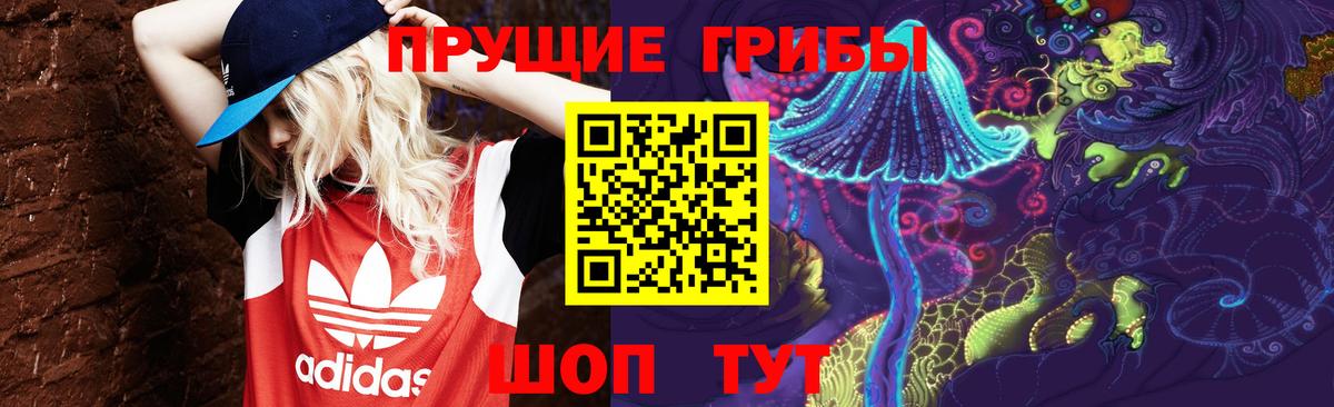 Псилоцибиновые грибы мицелий Славянск-на-Кубани